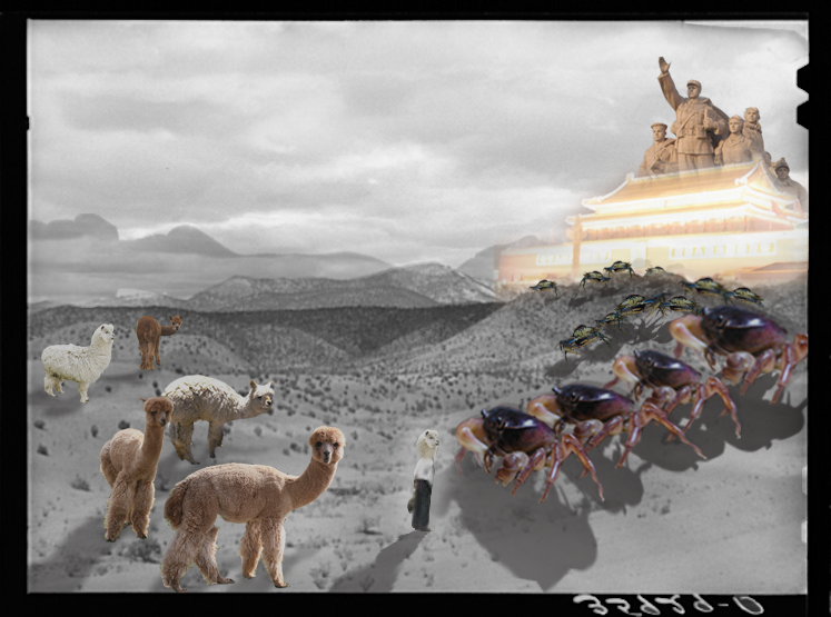 March 15, 2008: Showdown in the Ma Le Desert